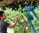 Fotografia de seviche, Chico de 40 años