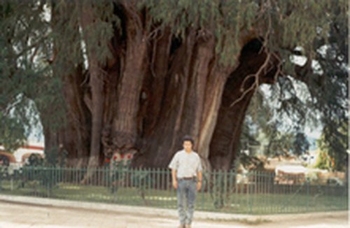 Fotografia de aventurero03, Chico de 62 años