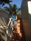 Fotografia de dahianna, Chica de 33 años