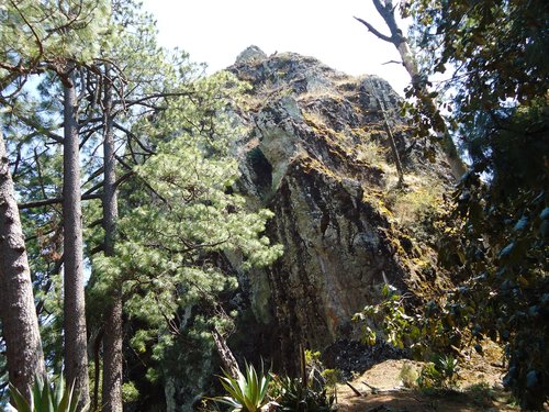 Fotografia de Sanjose, Chico de 44 años