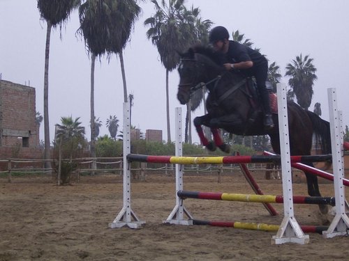 Fotografia de Miguelon2008, Chico de 62 años