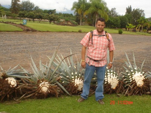 Fotografia de orlando009, Chico de 42 años