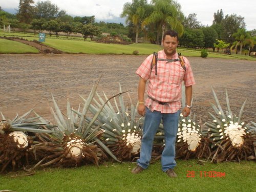 Fotografia de orlando009, Chico de 41 años