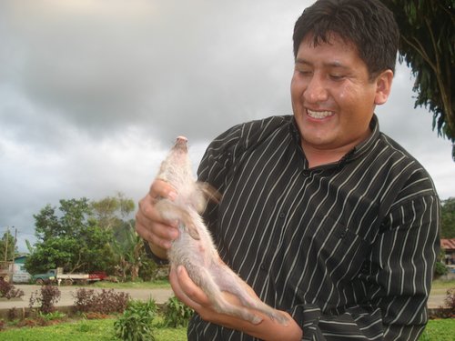 Fotografia de Ivancusco32, Chico de 46 años