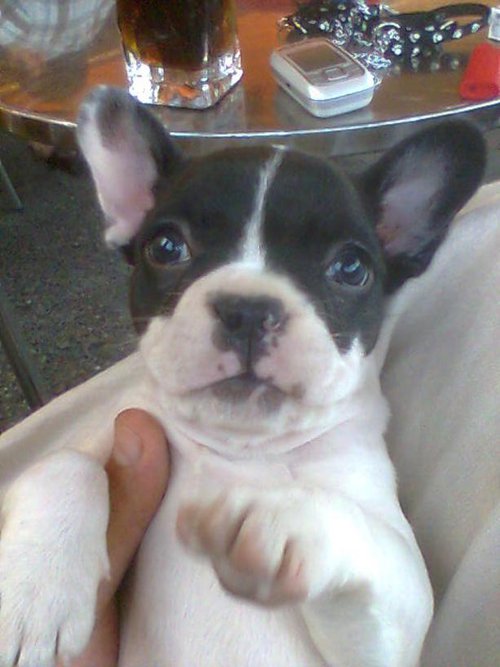 Fotografia de sherkam, Chico de 48 años