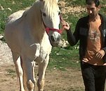 Fotografia de porcima, Chico de 61 años