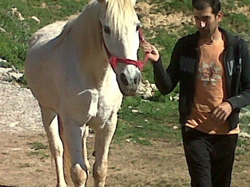 Fotografia de porcima, Chico de 61 años