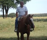 Fotografia de Jorge1960, Chico de 65 años