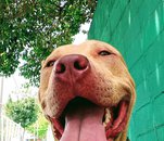 Fotografia de DavoZx, Chico de 37 años