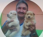 Fotografia de italo56, Chico de 55 años