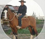 Fotografia de marck55, Chico de 62 años