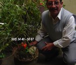 Fotografia de Jose5BuscaDamaGuatemala, Chico de 68 años