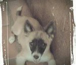Fotografia de rafaeldiaz2000, Chico de 20 años