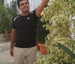 Fotografia de Josete78, Chico de 46 años
